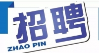 岱岳區(qū)政務(wù)服務(wù)中心招人啦！大專以上學(xué)歷，即日起報(bào)名